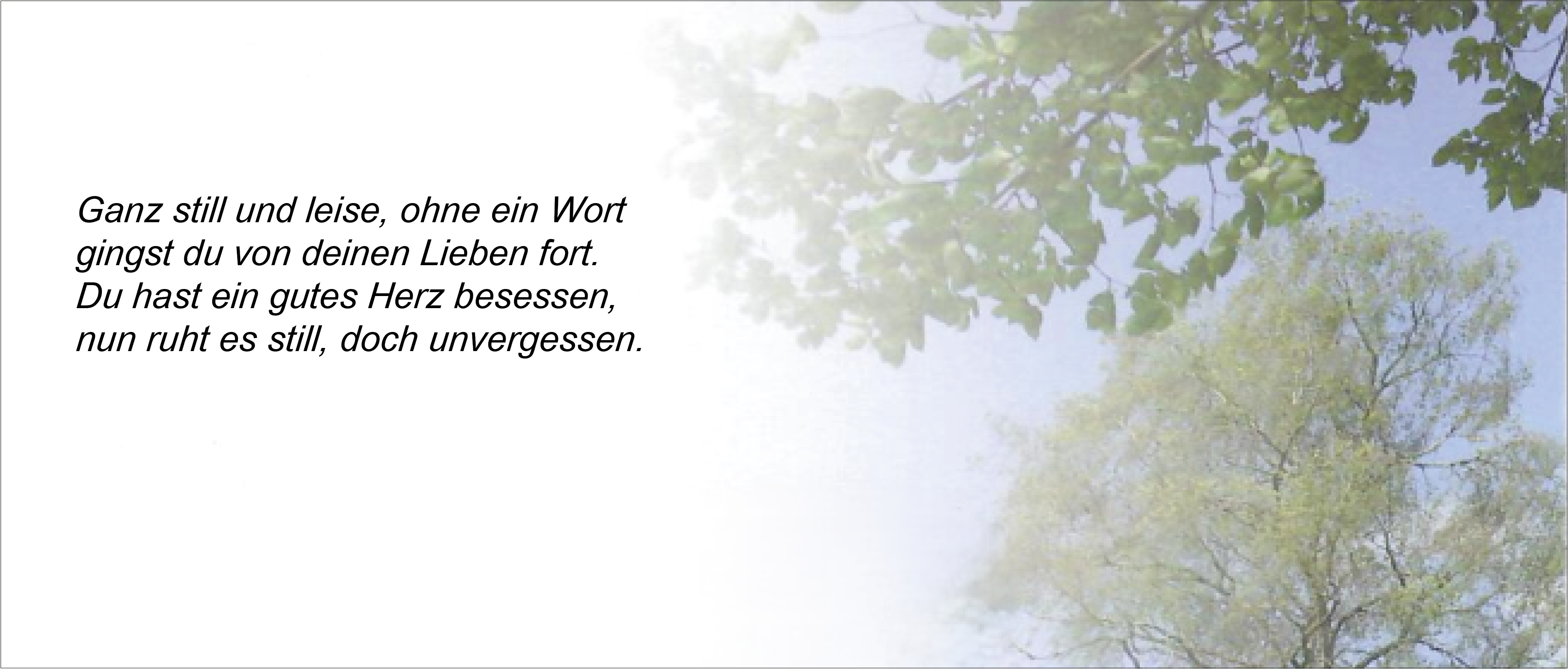 Bild Homepage Todesfall Ueli Wüthrich mit Rahmen