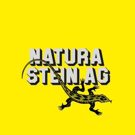 Natura Stein AG Logo