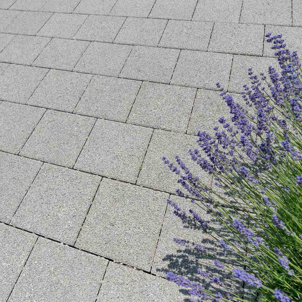 CARENA Sickerstein fino mit Nocken, schwarz, haufwerksporig, gefast
